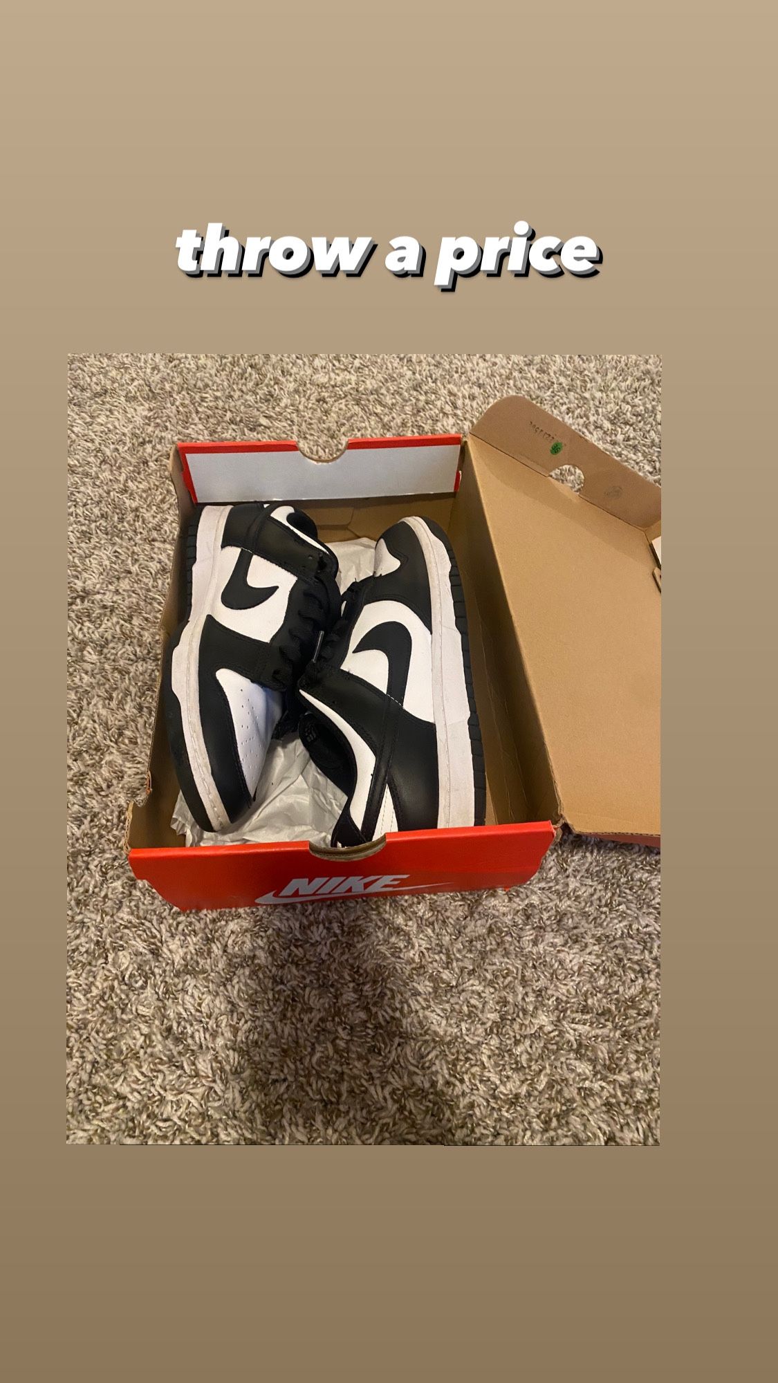 Nike Dunks White and Black