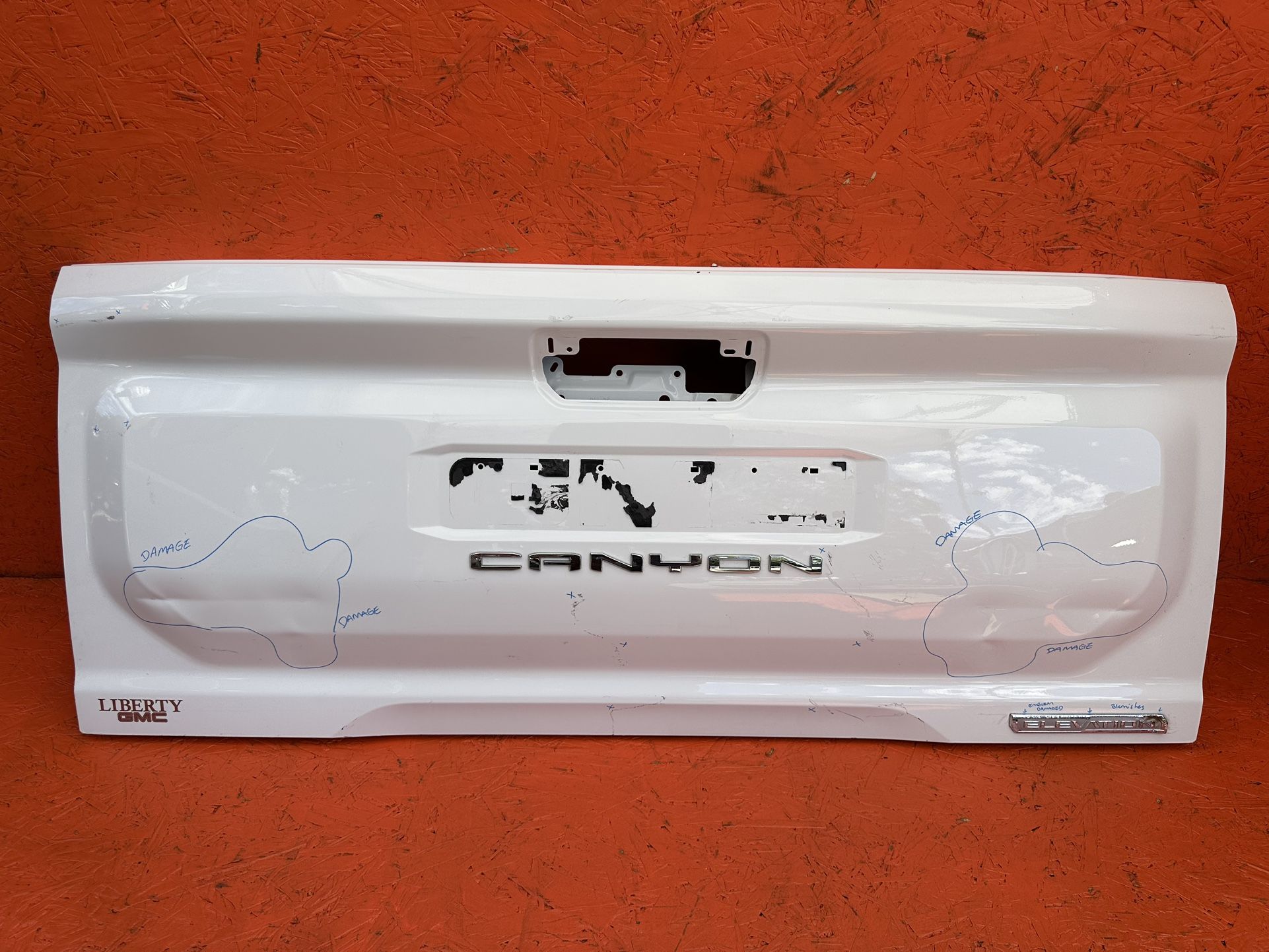 2023 2024 2025 GMC CANYON TAILGATE BACK DOOR PANEL SHELL OEM