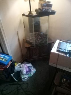 Octagon Fish Tank