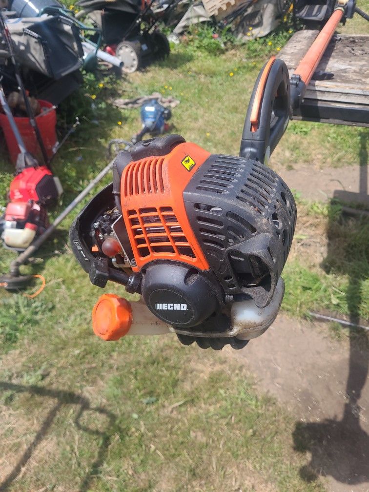 Echo Pole Saw $250