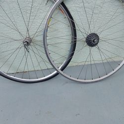 Bike Rims