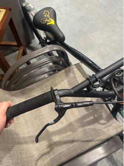 Se bike big Flayer 29