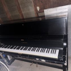 Yamaha & Kawai Pianos 