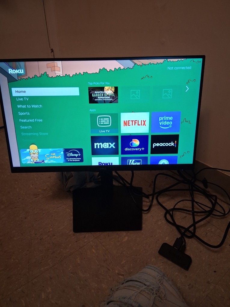 Two Computer Monitors  Dell 