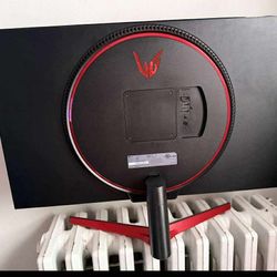 LG Gaming Monitor 