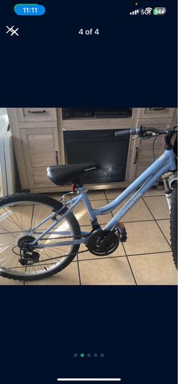 Cruiser bike