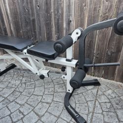 Weight Bench 