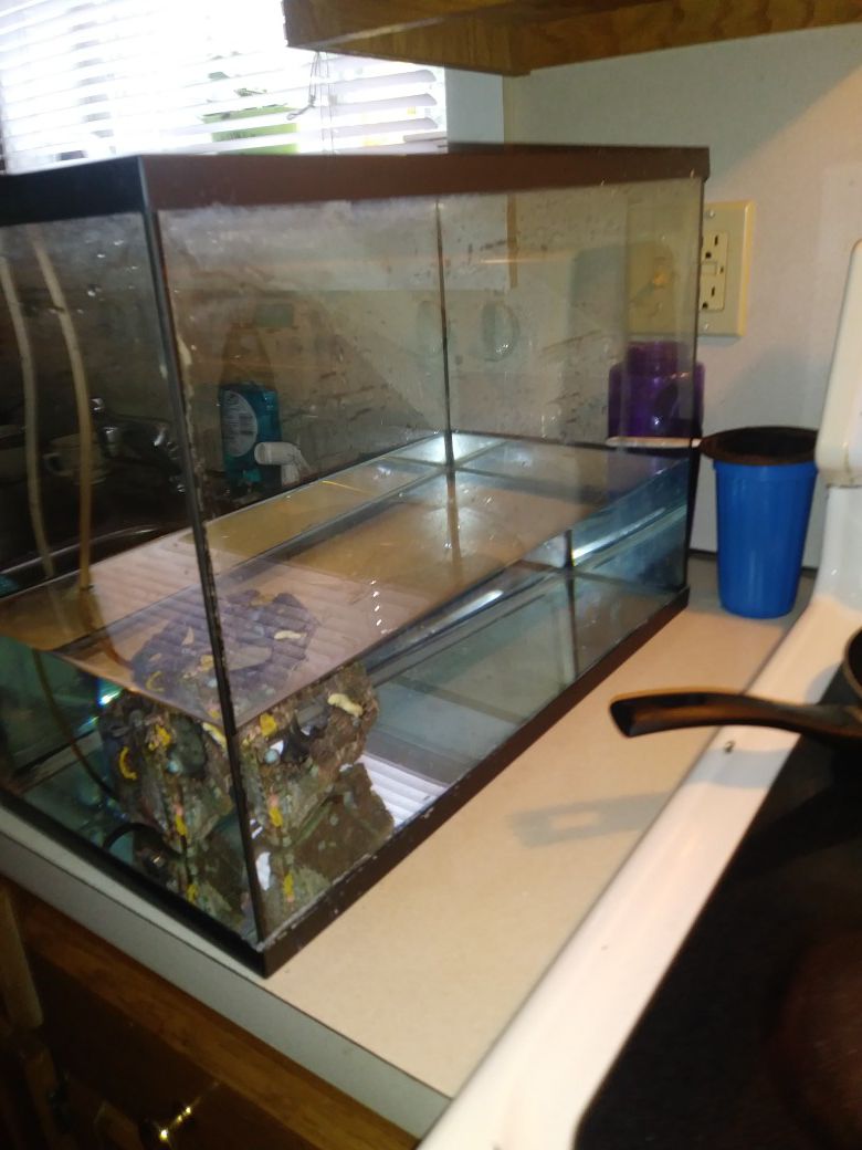 10 gallon tank, with hood and miscellaneous items