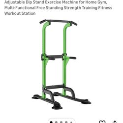 Pull Up/Dip Station Like New 