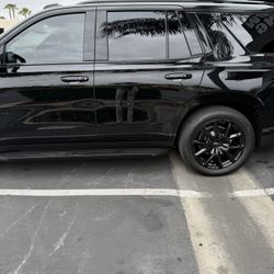 Tint For Sale
