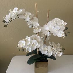 Flower Arrangement 