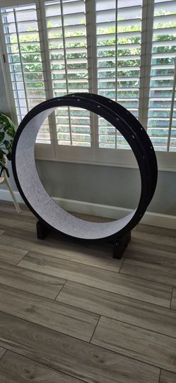 Cat treadmill hardly used