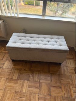 Ottoman storage NEED GONE!