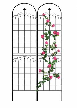 7.2 ft Metal Plant Climbing Rose Garden Trellis (2-Pack)