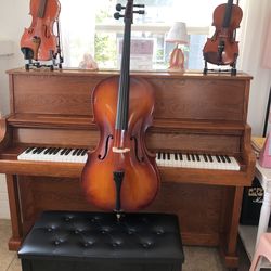 Cello Bow And Soft Case