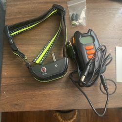 Multi Dog Training system 