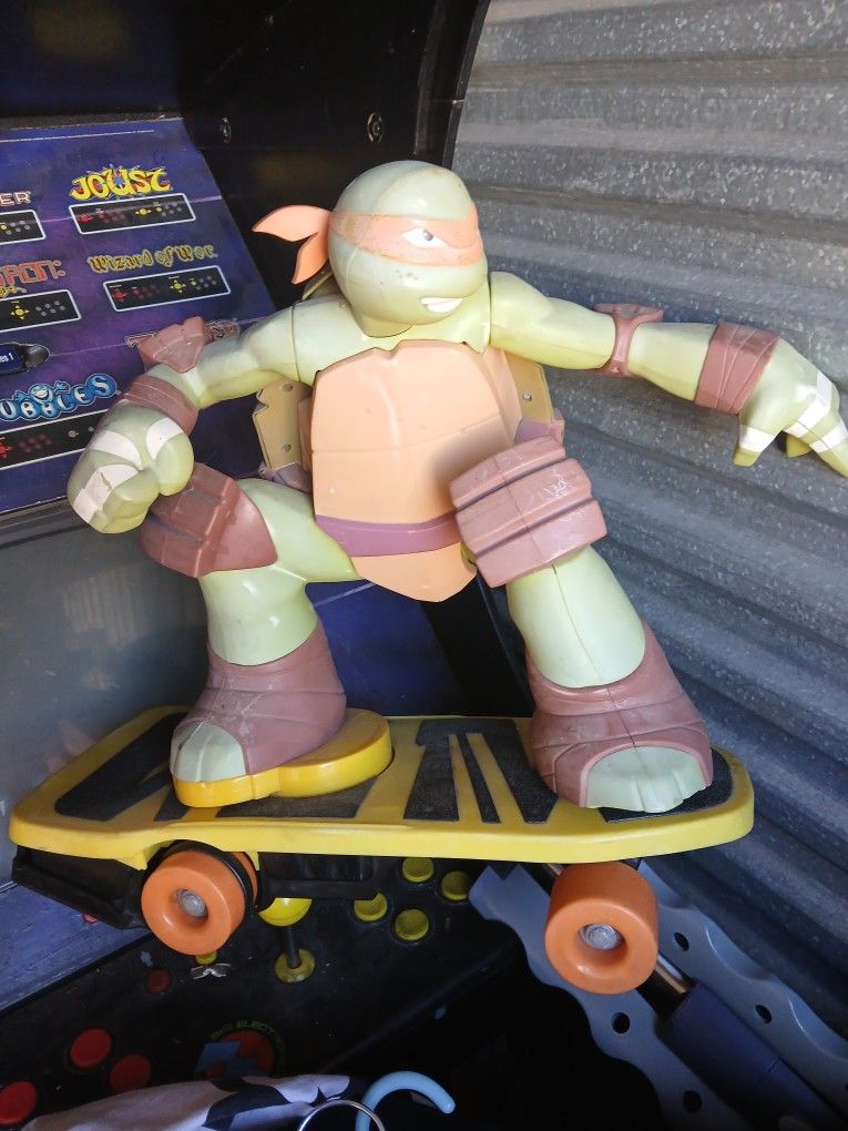 Ninja Turtle On Skateboard