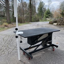 Pet Lift Hydraulic Grooming Table With Arm