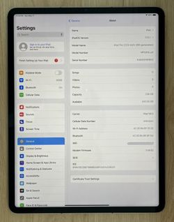 Apple iPad Pro 13 inch 6th Gen 256GB WiFi + Cellular (Unlocked)