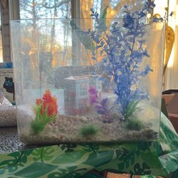 Aquarium and Extra Plant Decor