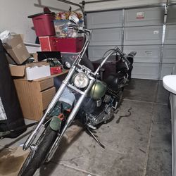 1999 Harley Davidson evo standard softtail