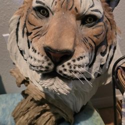 TIGER HEAD BUST
