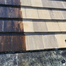 Roof  Softwashing • Pressure Cleaning•  Specialists 