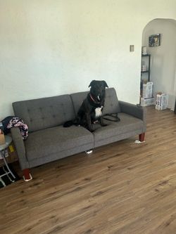 Gray Tufted Two-Seat Sofa with Wood Legs