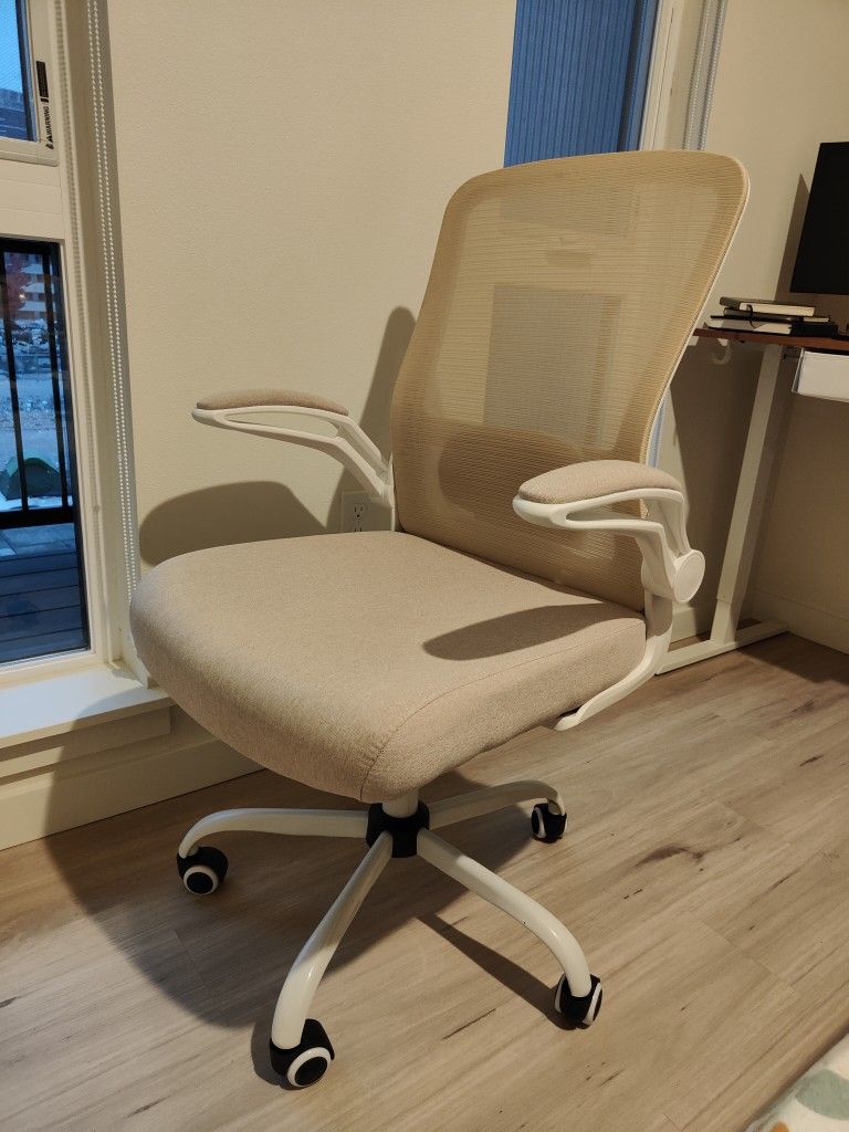 Ergonomic Office Chair