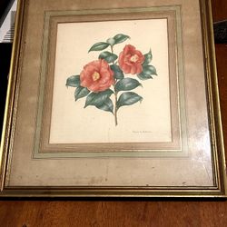 Large Framed Picture