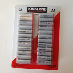 BRAND NEW 48 AA BATTERIES 