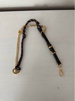 Brown and Gold Bag Strap/Chain