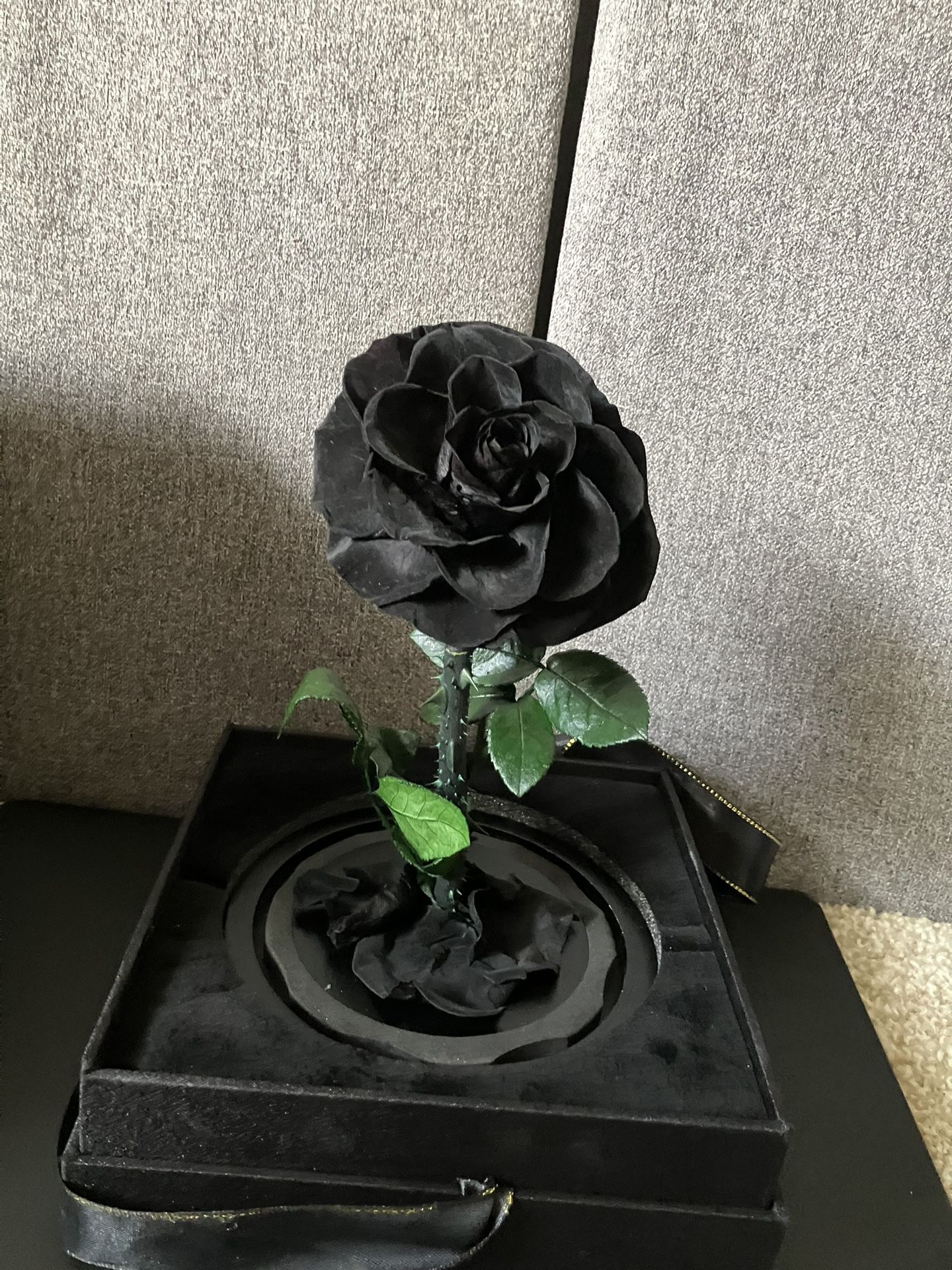 REAL!! PRESERVED NATURAL ROSE