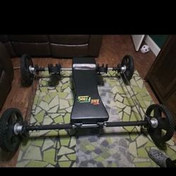 The Frog Fitness System 