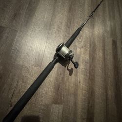 Liquid Stick Penn 535 Salt Water Fishing Combo. Ready to Go. 
