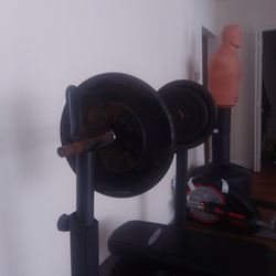 (2) 50lb Plates 
