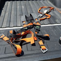 Safety Harness