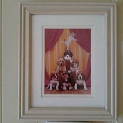 Whitewash Lifestyle Wall Decor 