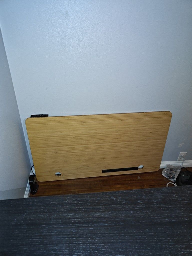 Autonomous Bamboo Desktop Surface 53in