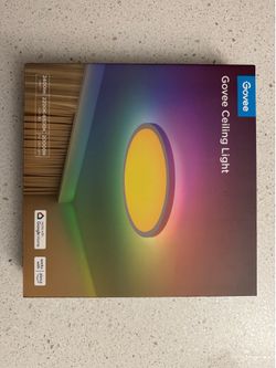Govee ceiling light