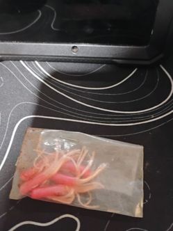 Little pink worms for a bath I don't know I never used it