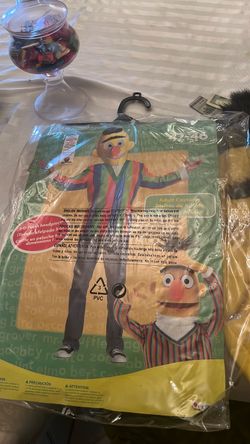 Sesame Street Bert