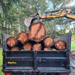 Firewood 