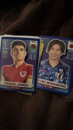 2022 fifa World Cup stickers