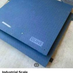 Industrial Scale 