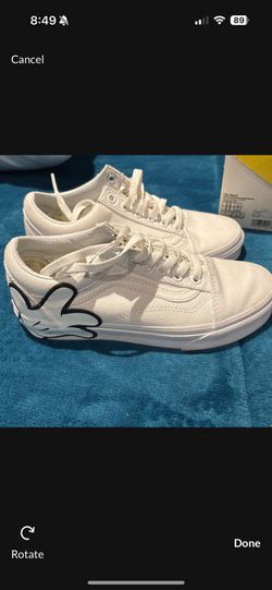 Mickey Vans