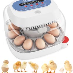 Sailnovo 12 Egg Incubators for Hatching Eggs with 4 Modes, 360° View Incubator