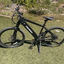 Pedego Ridge Rider E-Bike