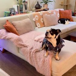 FREE COUCH - Pick Up ASAP! 