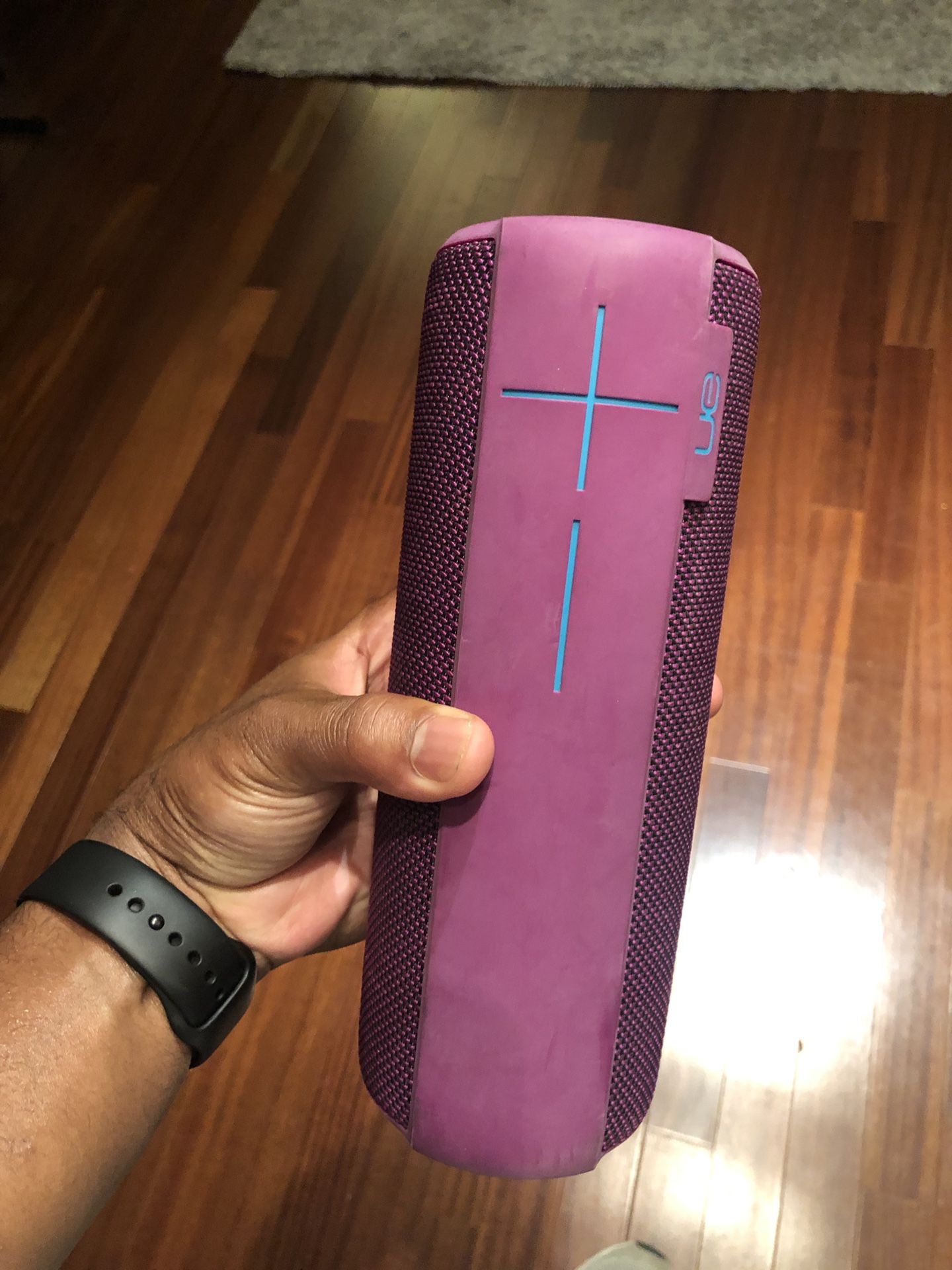 UE Boom Bluetooth Speaker - $100